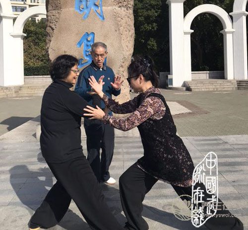 上海崇明戴迪養(yǎng)生基地舉行中華武藝展示活動