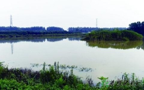 南京溧水地震 發生地震該怎么辦
