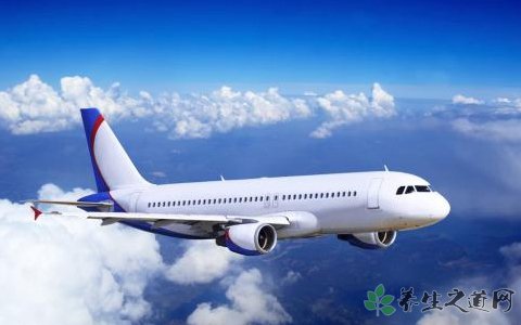 孩子奪飛機操縱桿 乘坐飛機的安全注意事項