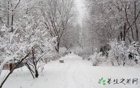 玉樹雪災(zāi)啟動(dòng)救災(zāi) 大雪天氣的安全注意事項(xiàng)