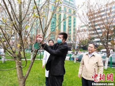 男子罹患多種疾病 同時(shí)換心臟和主動(dòng)脈獲新生