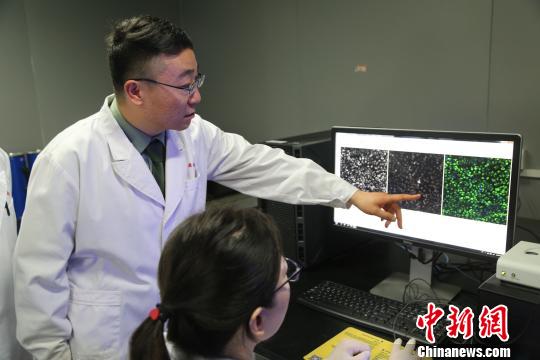 中國科學(xué)家揭開何首烏導(dǎo)致肝損傷之謎 中國科學(xué)家揭開何首烏導(dǎo)致肝損傷之謎