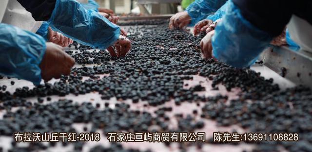 葡萄酒怎么醒酒？手把手教你醒酒—布拉沃山丘干紅葡萄酒-2018