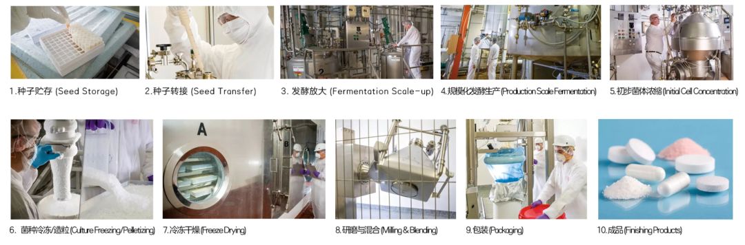 不用煲湯吞海參,這個提高免疫力的法子一學就會-易網健康養生網 不用煲湯吞海參,這個提高免疫力的法子一學就會