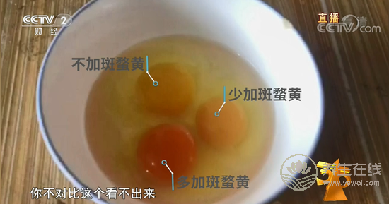 土雞蛋行業混亂 神丹、蓮田被曝光-易網健康<a href=http://m.aoa7937.com/jkys/ target=_blank class=infotextkey>養生</a>網 土雞蛋行業混亂 神丹、蓮田被曝光