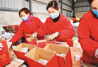 一季度全國農產品電商直播超過400萬場-易網健康<a href=http://m.aoa7937.com/jkys/ target=_blank class=infotextkey>養生</a>網 一季度全國農產品電商直播超過400萬場