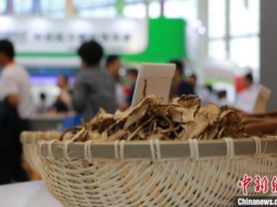 張伯禮建言上千年藥鄉甘肅：中醫學與中藥“兩條腿”行走