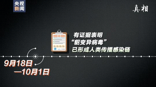 四問搞懂：丹麥變異新冠病毒“貂傳人”究竟多嚴重