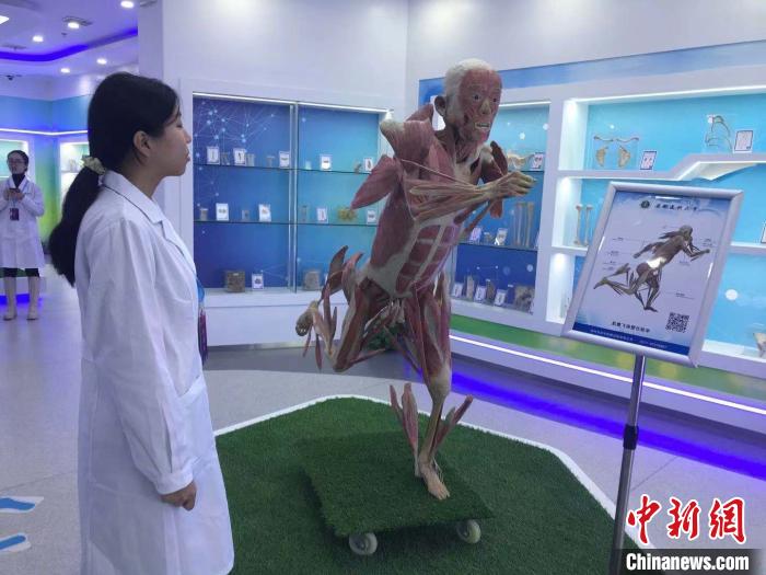 安徽醫科大學人體科學館、博物館中醫珍品館開館-易網健康<a href=http://m.aoa7937.com/jkys/ target=_blank class=infotextkey>養生</a>網 安徽醫科大學人體科學館、博物館中醫珍品館開館