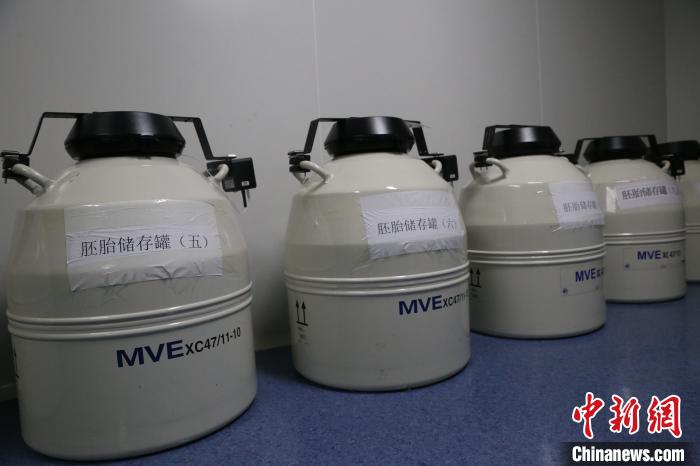 寧夏銀川:科技賦能 讓輔助生殖技術“茁壯成長”-易網<a href=http://m.aoa7937.com/ target=_blank class=infotextkey>健康養生</a>網 寧夏銀川:科技賦能 讓輔助生殖技術“茁壯成長”