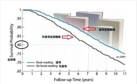 讀書越多,活得越久?耶魯大學:每天閱讀30分鐘,不僅更長壽,而且更幸福-易網健康養生網 讀書越多,活得越久?耶魯大學:每天閱讀30分鐘,不僅更長壽,而且更幸福