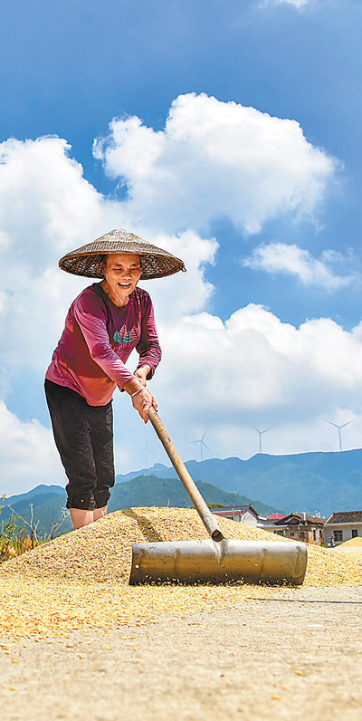 “兩節”商品足供應保障穩(新時代畫卷)-易網健康<a href=http://m.aoa7937.com/jkys/ target=_blank class=infotextkey>養生</a>網 “兩節”商品足供應保障穩(新時代畫卷)