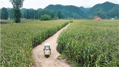 強基層,給全民健康更有力支撐-易網健康<a href=http://m.aoa7937.com/jkys/ target=_blank class=infotextkey>養生</a>網 強基層,給全民健康更有力支撐