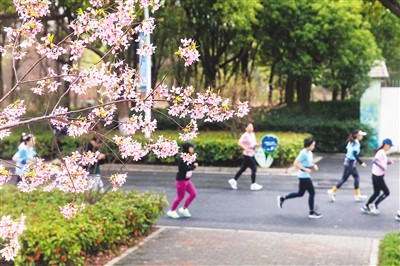春日健身動起來-易網(wǎng)健康養(yǎng)生網(wǎng) 春日健身動起來