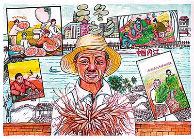 天冬種出“甜日子”-易網健康養生網 天冬種出“甜日子”