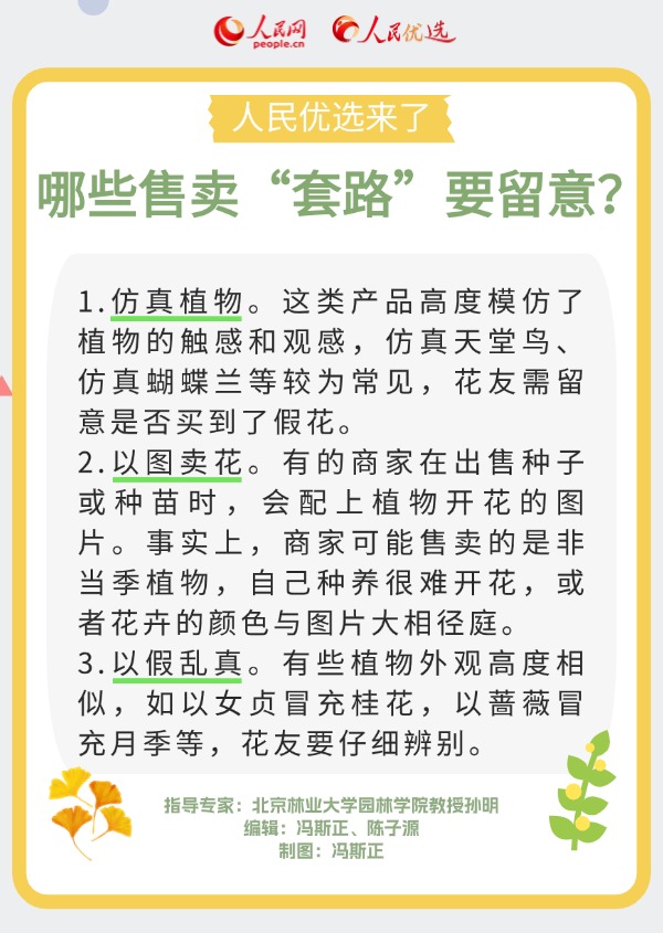室內花卉綠植怎么選？實用小貼士請查收