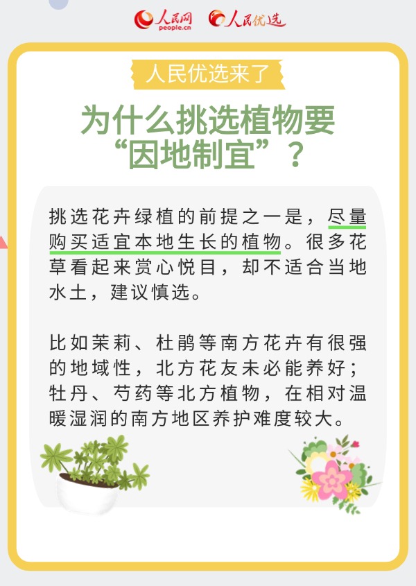 室內花卉綠植怎么選？實用小貼士請查收