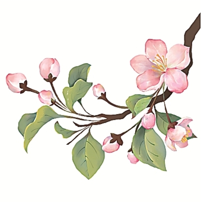 二十四節氣二十四問-易網<a href=http://m.aoa7937.com/ target=_blank class=infotextkey>健康養生</a>網 二十四節氣二十四問