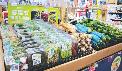 吃春菜,品“舌尖上的春天”(知食點)-易網(wǎng)健康<a href=http://m.aoa7937.com/jkys/ target=_blank class=infotextkey>養(yǎng)生</a>網(wǎng) 吃春菜,品“舌尖上的春天”(知食點)