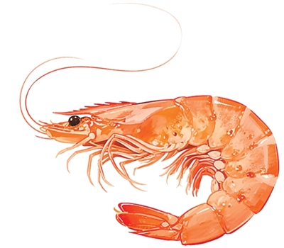 這樣吃海鮮 好吃又安全(健康驛站)-易網<a href=http://m.aoa7937.com/ target=_blank class=infotextkey>健康養生</a>網 這樣吃海鮮 好吃又安全(健康驛站)