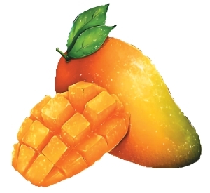 吃對水果,清涼一夏(健康驛站)-易網<a href=http://m.aoa7937.com/ target=_blank class=infotextkey>健康養生</a>網 吃對水果,清涼一夏(健康驛站)