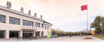 孩子，你們從不孤獨（深度觀察）