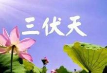 三伏天是失眠高峰期 如何才能睡個(gè)好覺?