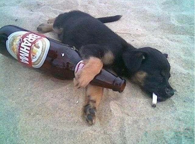 到底什么是健康飲食?什么是不健康飲食?BBC告訴你答案