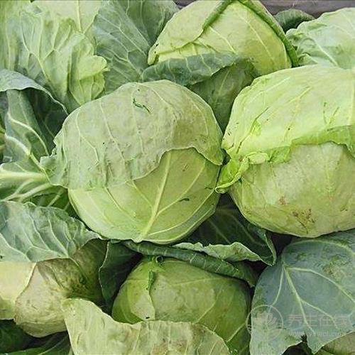 冬季養(yǎng)生法則:這5種食物常吃能養(yǎng)好腎 冬季養(yǎng)生法則:這5種食物常吃能養(yǎng)好腎