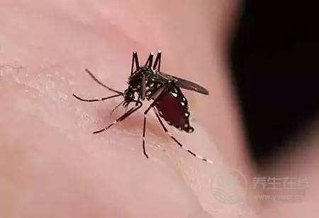 驅(qū)蚊八錯(cuò)誤傷肺致癌 氣霧驅(qū)蟲劑造成健康隱患
