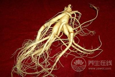 哪六類人與人參無緣 服用人參的禁忌有哪些