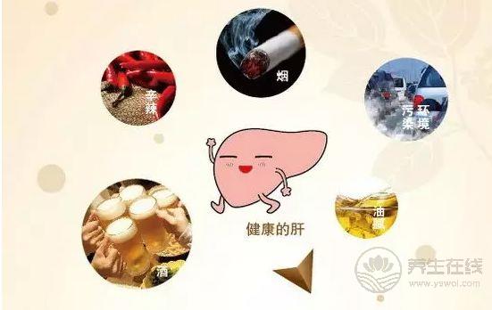 5個(gè)習(xí)慣堪稱肝肝臟殺手 小心毀了肝臟