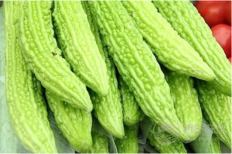 推薦六款瓜類食譜 消暑解渴高效瘦身