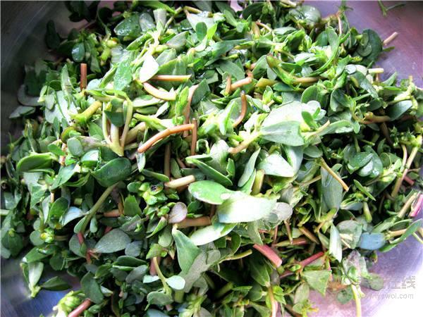 血小板減少怎么辦？這九個食療方法有效幫助血小板提升