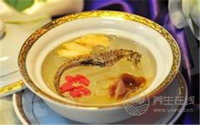 適宜痰濕體質者食用的食物  起居和藥物養生