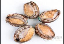 生蠔和鮑魚哪個好吃,鮑魚和生蠔的區(qū)別圖
