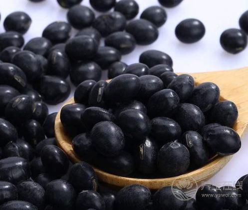 腎不好?4種食物能補(bǔ)腎,常吃讓腎漸漸“回力” 腎不好?4種食物能補(bǔ)腎,常吃讓腎漸漸“回力”