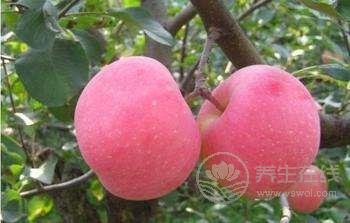別輕易吃藥，哪不舒服，就吃哪種水果吧