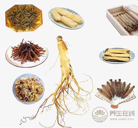 假期補覺睡太多,節后調理以補氣為主 假期補覺睡太多,節后調理以補氣為主