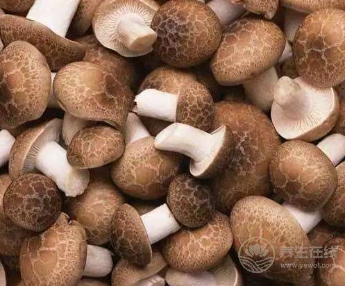 30歲后要關(guān)注的健康問(wèn)題:3種食物能清血管,預(yù)防疾病 30歲后要關(guān)注的健康問(wèn)題:3種食物能清血管,預(yù)防疾病