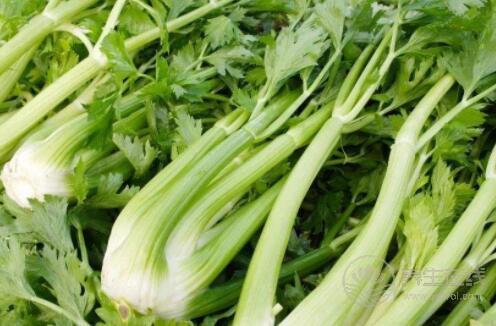 夏秋換季最容易生病,常吃4種食物幫你換季養(yǎng)生不得病 夏秋換季最容易生病,常吃4種食物幫你換季養(yǎng)生不得病