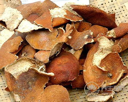 陳皮是個寶：行氣消食、燥濕化痰