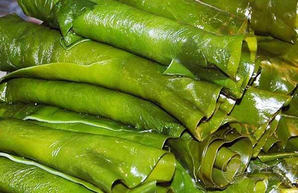 海帶對身體有很多好處，但是有2點(diǎn)需要注意