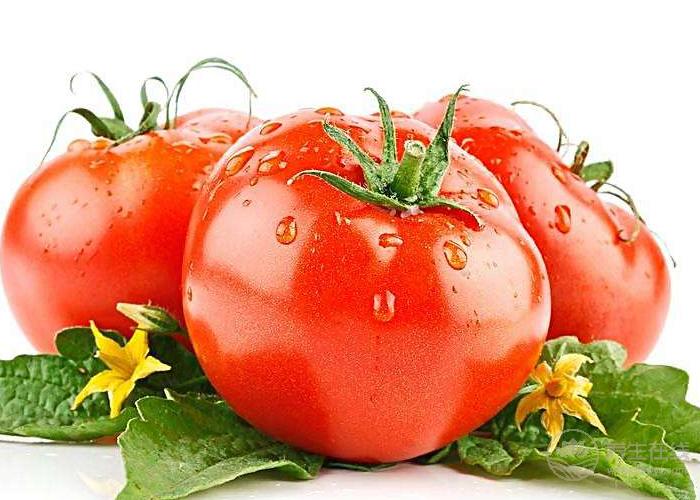 早餐怎么吃既營養(yǎng)又減肥? 早餐怎么吃既營養(yǎng)又減肥?