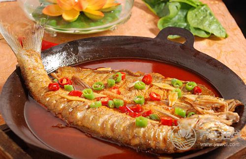 為什么全世界的飲食指南都鼓勵(lì)吃魚？
