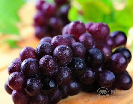 補血養顏就多吃這6種食物 補血養顏就多吃這6種食物