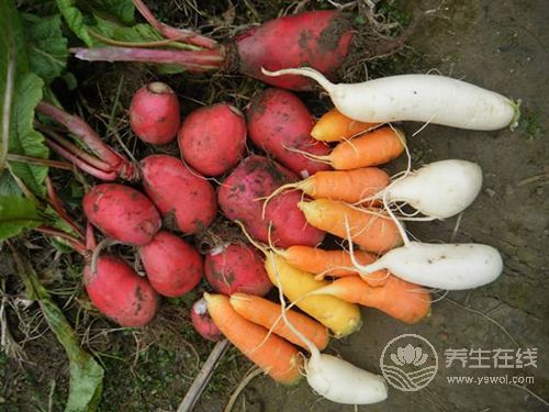這些蔬菜生吃比煮熟后營養更加豐富 這些蔬菜生吃比煮熟后營養更加豐富