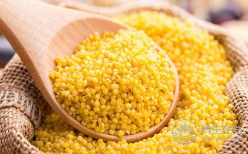 小米的5種好處,常吃小米好處多 小米的5種好處,常吃小米好處多