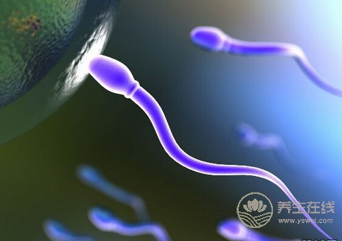 如何利用這些知識提高精子的質(zhì)與量