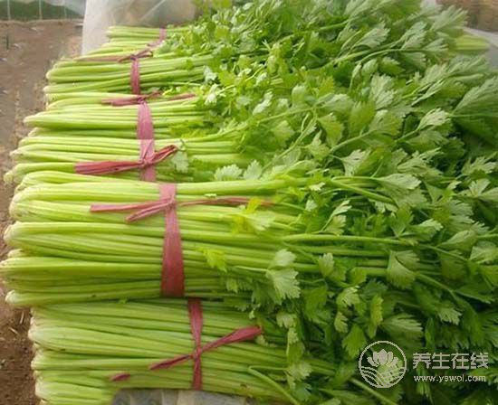 多吃蔬菜容易避免口腔上火 多吃蔬菜容易避免口腔上火